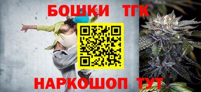 индика Усть-Илимск