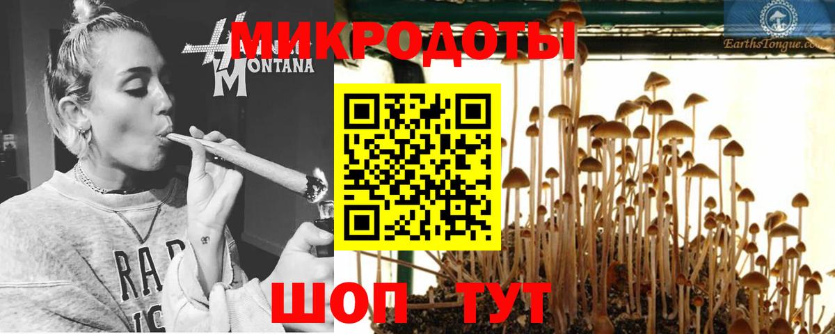 Псилоцибиновые грибы GOLDEN TEACHER  Псилоцибиновые грибы Psilocybe  Нижневартовск  Вход с VPN 